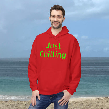 Just Chilling-Unisex Midweight Scenery Hoodie