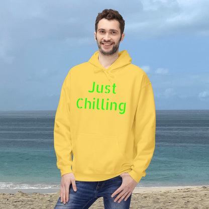 Just Chilling-Unisex Midweight Scenery Hoodie