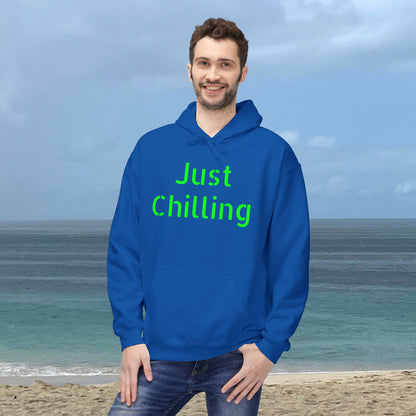 Just Chilling-Unisex Midweight Scenery Hoodie